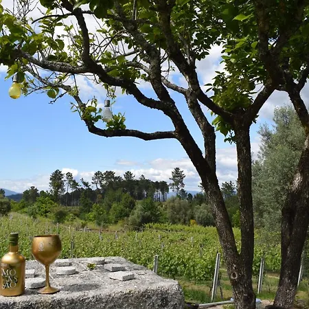 Casa Dos Picoutos Al * Monção