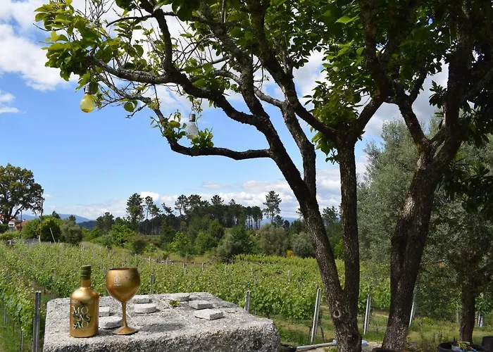 Casa Dos Picoutos Al * Monção